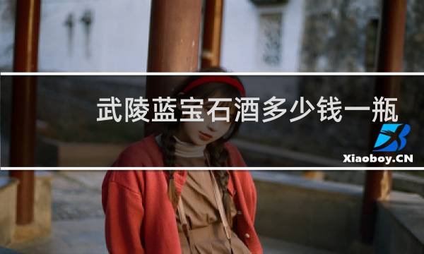 武陵蓝宝石酒多少钱一瓶