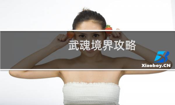 武魂境界攻略