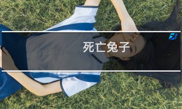 死亡兔子 攻略