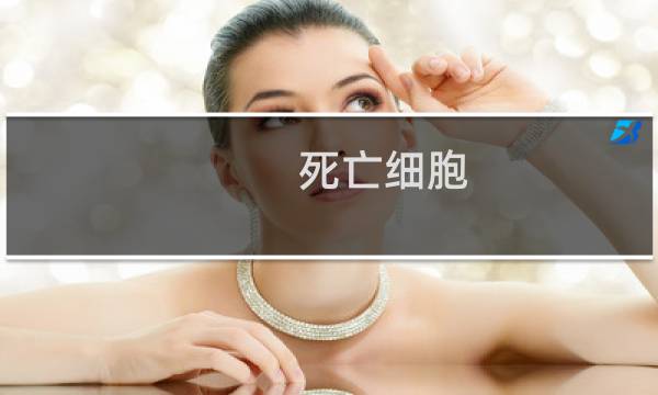 死亡细胞 流程攻略