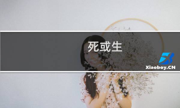 死或生 送礼攻略