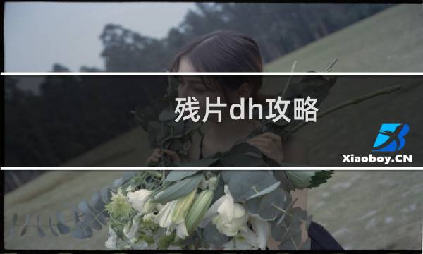 残片dh攻略