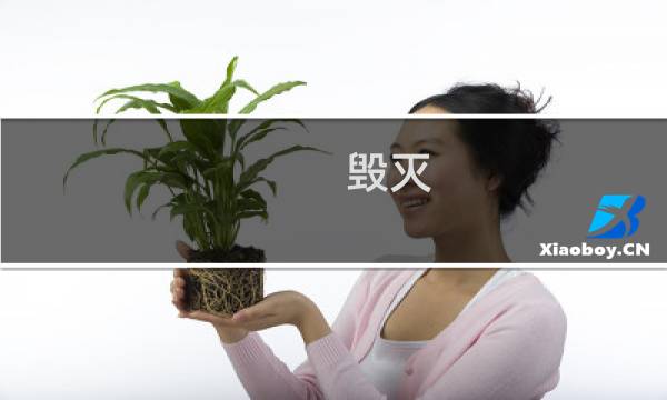 毁灭 救世主 攻略