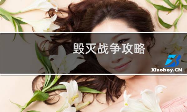毁灭战争攻略