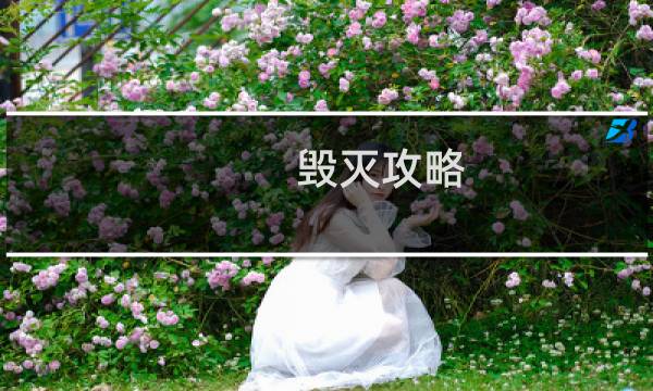 毁灭攻略