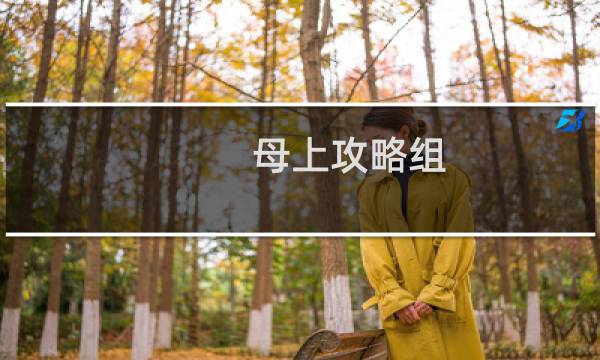 母上攻略组