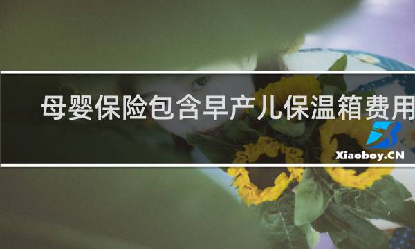 母婴保险包含早产儿保温箱费用吗