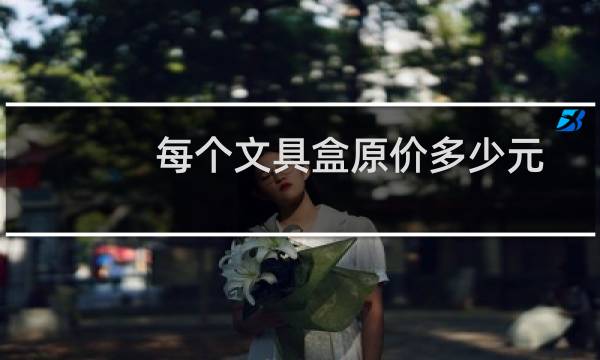 每个文具盒原价多少元