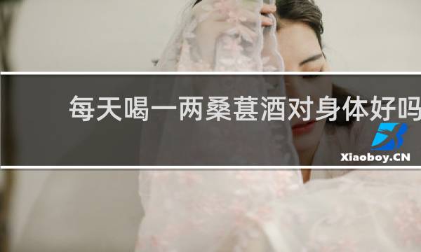 每天喝一两桑葚酒对身体好吗