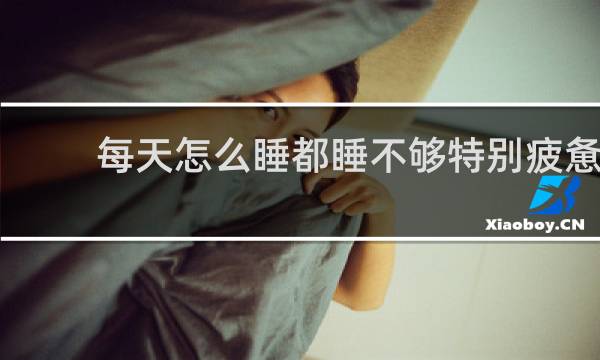 每天怎么睡都睡不够特别疲惫