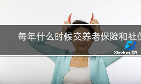 每年什么时候交养老保险和社保