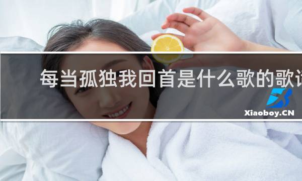 每当孤独我回首是什么歌的歌词
