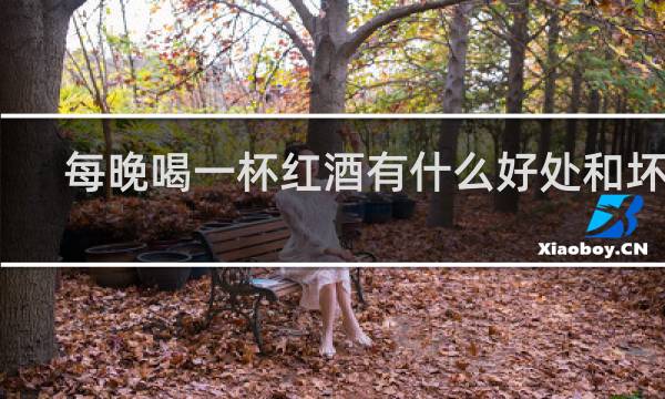 每晚喝一杯红酒有什么好处和坏处