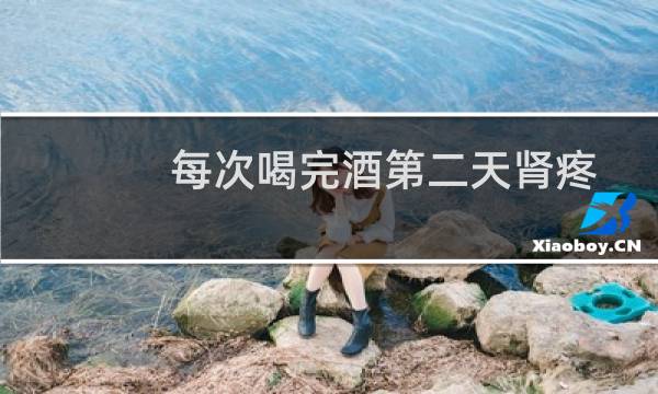 每次喝完酒第二天肾疼