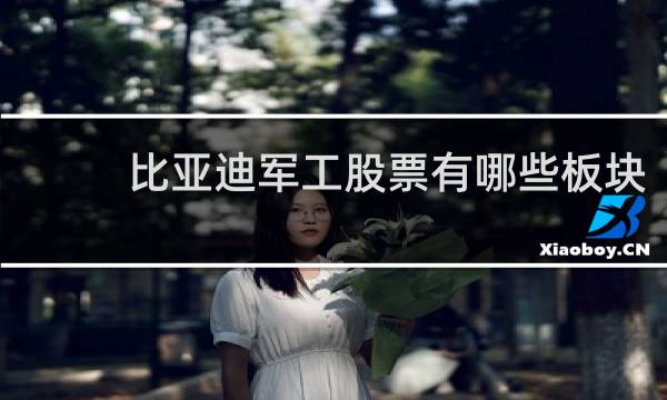 比亚迪军工股票有哪些板块