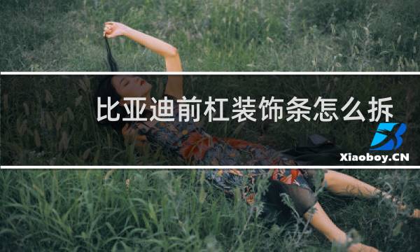 比亚迪前杠装饰条怎么拆