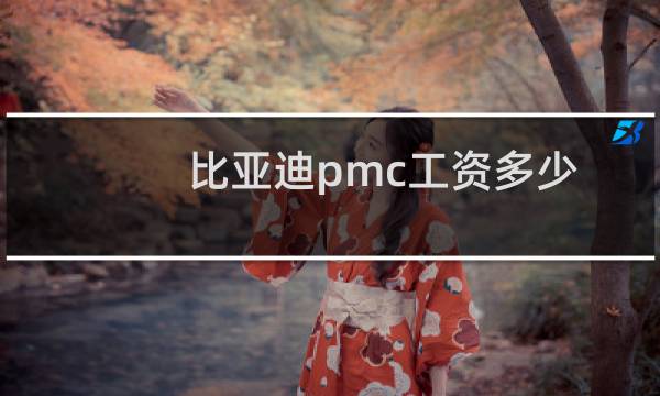比亚迪pmc工资多少