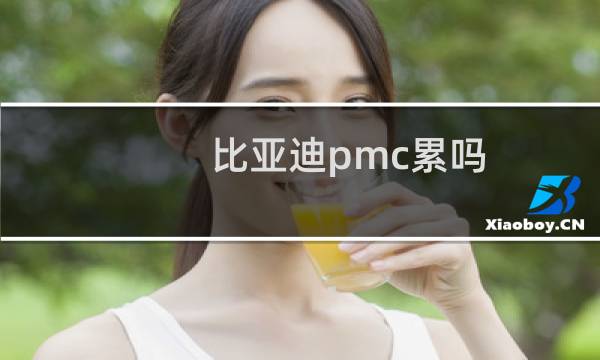 比亚迪pmc累吗