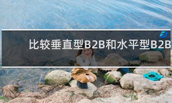 比较垂直型B2B和水平型B2B