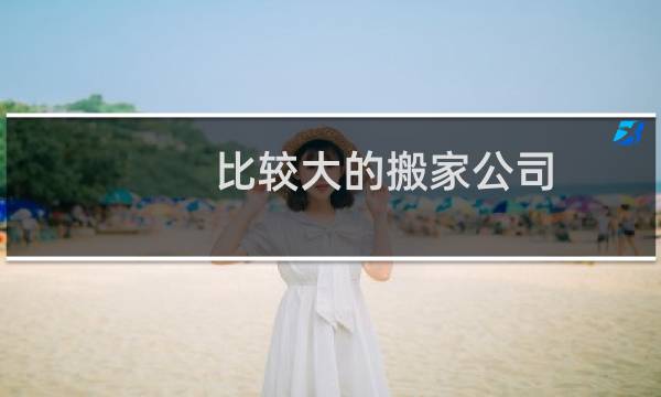 比较大的搬家公司
