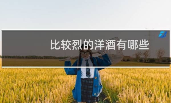 比较烈的洋酒有哪些