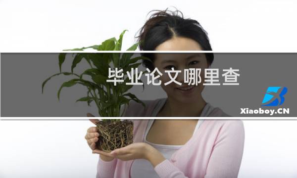 毕业论文哪里查