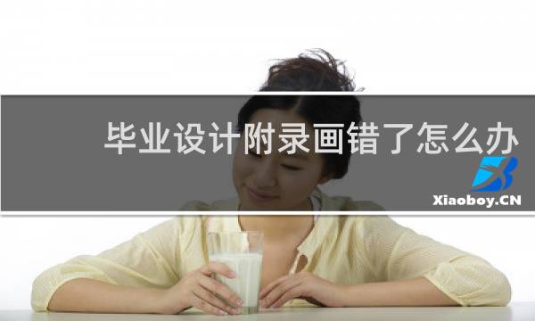 毕业设计附录画错了怎么办