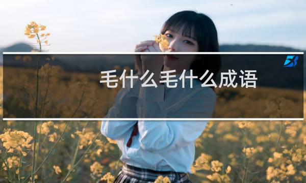 毛什么毛什么成语