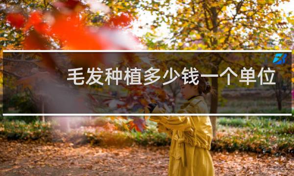 毛发种植多少钱一个单位