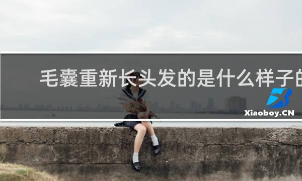 毛囊重新长头发的是什么样子的