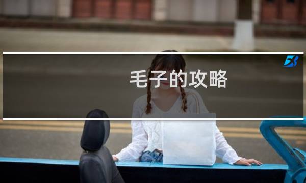 毛子的攻略