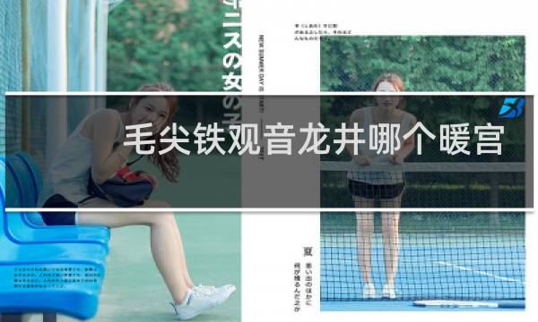 毛尖铁观音龙井哪个暖宫