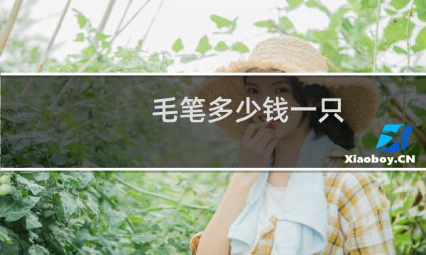 毛笔多少钱一只