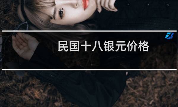 民国十八银元价格
