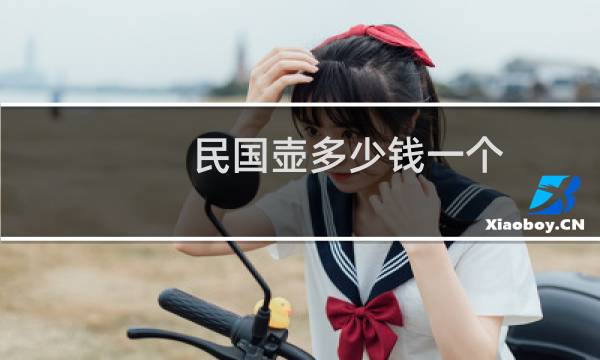 民国壶多少钱一个