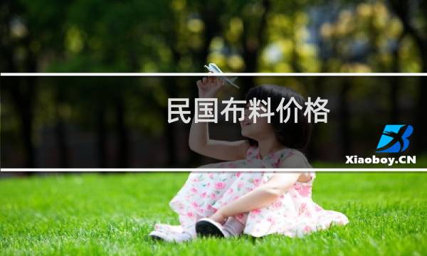 民国布料价格