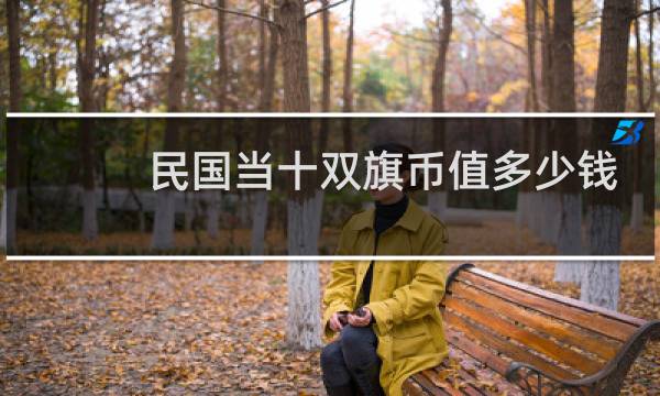 民国当十双旗币值多少钱