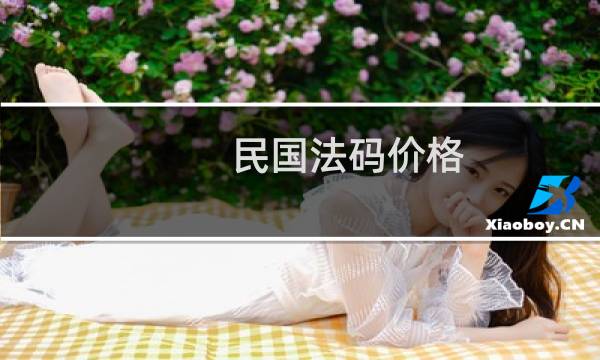 民国法码价格