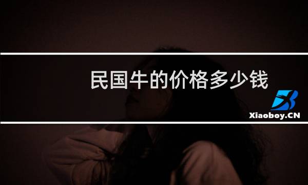 民国牛的价格多少钱