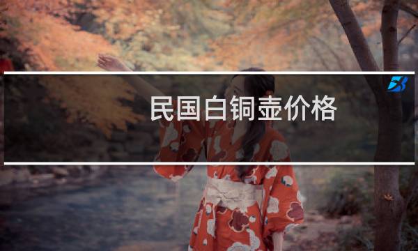 民国白铜壶价格