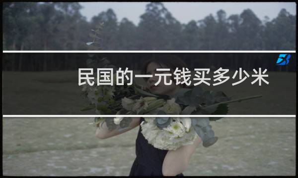 民国的一元钱买多少米