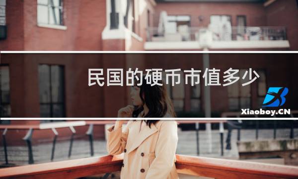 民国的硬币市值多少