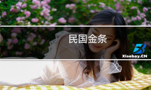 民国金条 价格查询