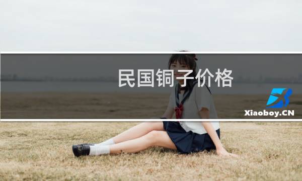 民国铜子价格