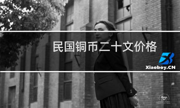 民国铜币二十文价格