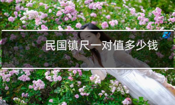 民国镇尺一对值多少钱