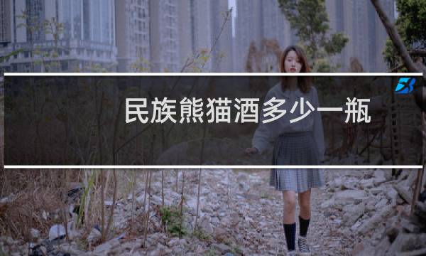 民族熊猫酒多少一瓶