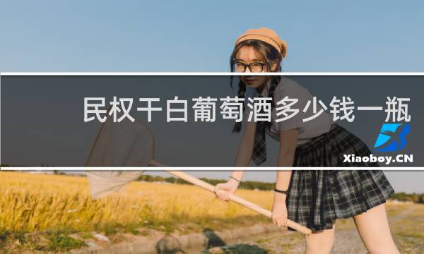 民权干白葡萄酒多少钱一瓶