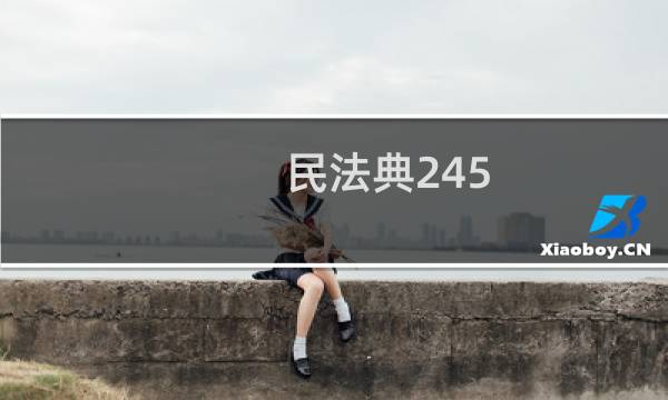 民法典245