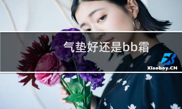气垫好还是bb霜